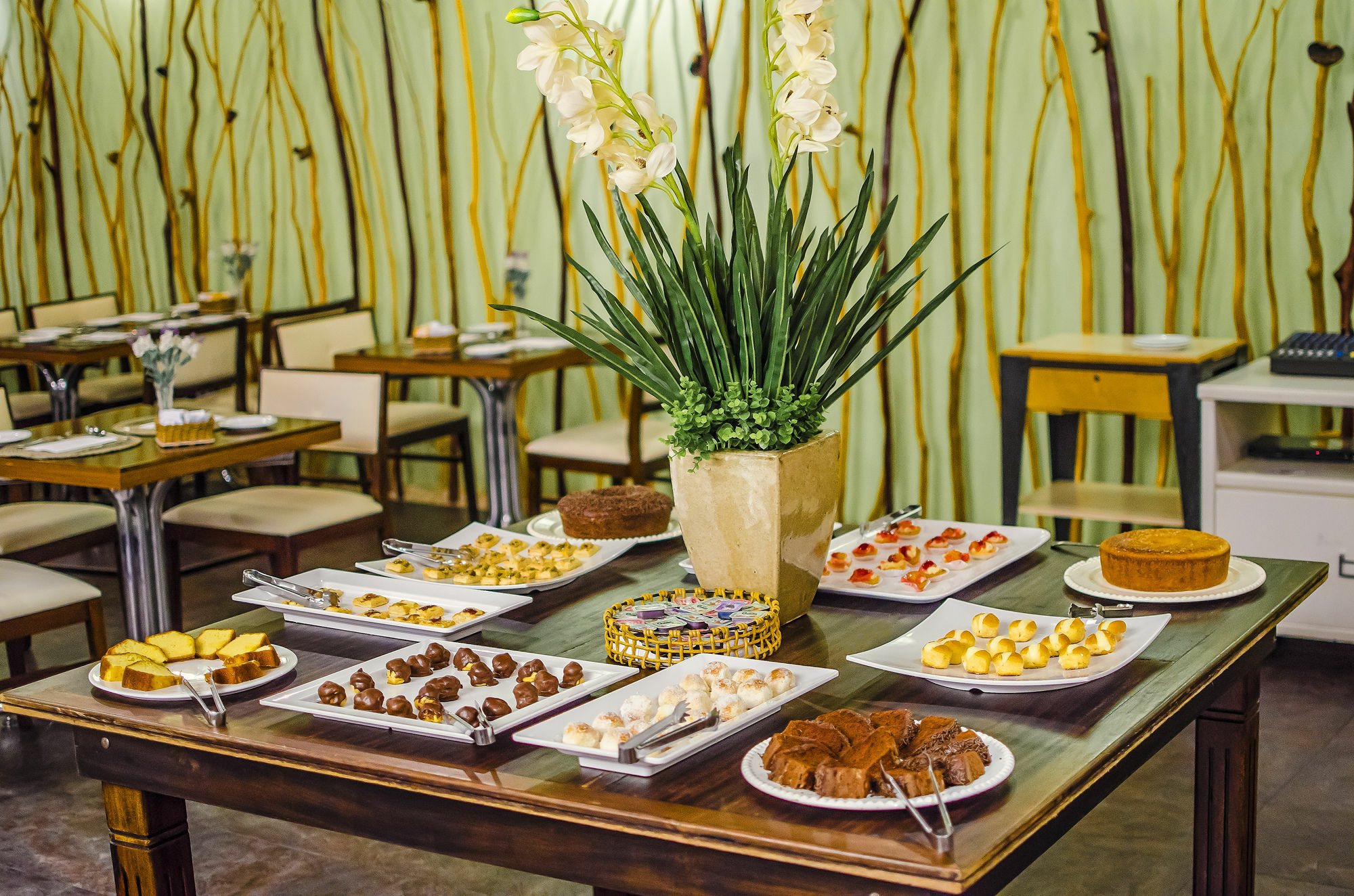 Stream Palace Hotel (Adults Only) Ribeirao Preto Ngoại thất bức ảnh